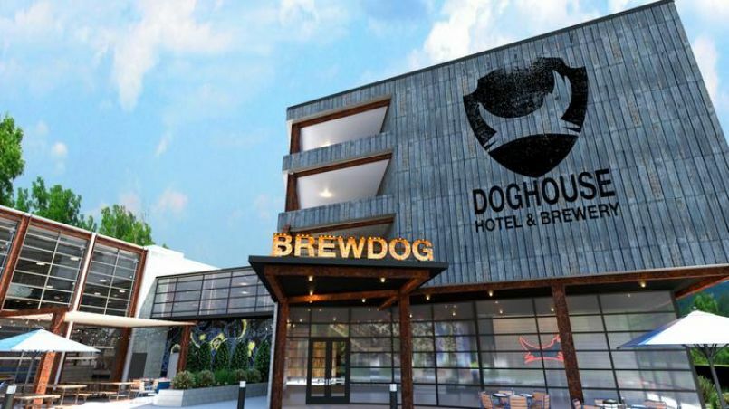 Brew Dog Hotel