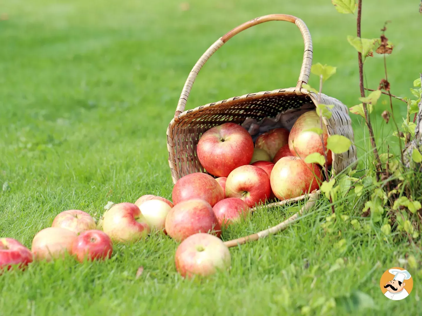 Les meilleures variétés de pommes à utiliser en pâtisserie !