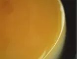 Recette Creme caramel au lait de coco