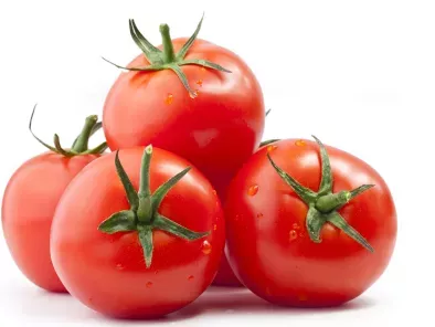 recettes tomate