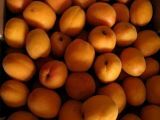 Etape 1 - Confitures d'abricot à la vanille ou à la lavande
