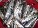 Etape 1 - Chtitha sardine à l'algéroise (Sardines en sauce)