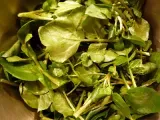 Etape 1 - Salade de cresson