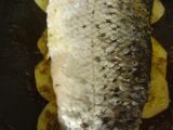 Etape 6 - Pavé de saumon en écailles de pommes de terre à la crème de roquette.