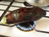 Etape 2 - Dip d'aubergines grillées, mélasse de grenade.