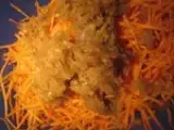 Etape 4 - Gâteau chicons / carottes au parfum de speculoos
