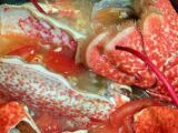 Etape 2 - Comment réussir un plat délicieux avec des carapaces de crustacés ?