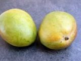 Etape 1 - Tarte tatin mangue & gingembre