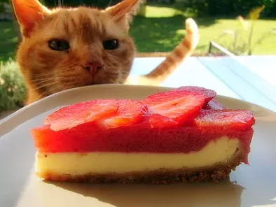 Cheesecake aux fraises - photo 2