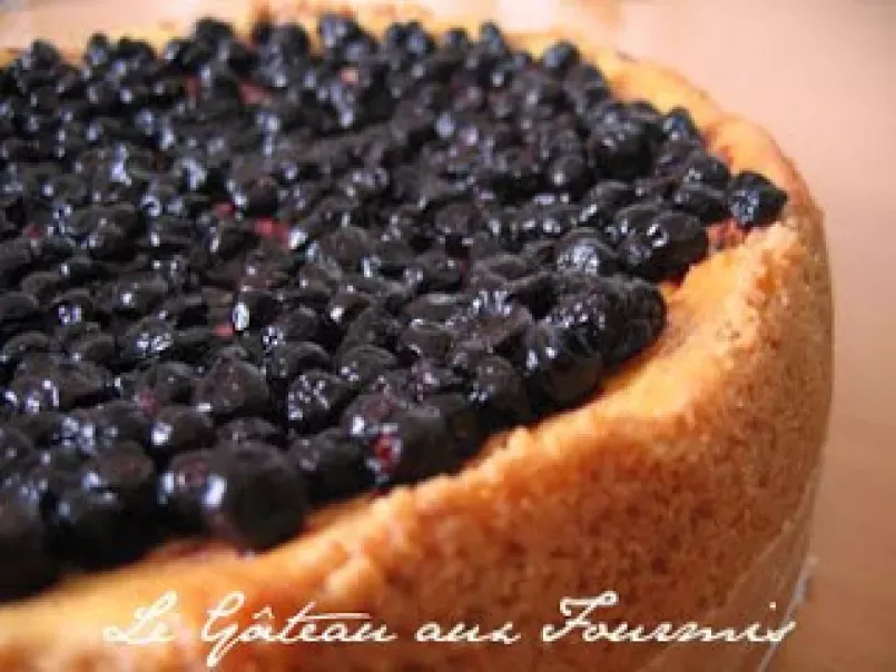 Cheesecake Chantilly/Myrtilles façon Blueberry Pie avec une pointe de Coco