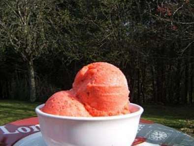 Crème glacée aux fraises sans oeufs ni crème ni sorbetière