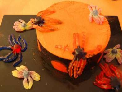 Gateau d'Halloween Orange et Noir, saveur pistache Framboises - photo 2
