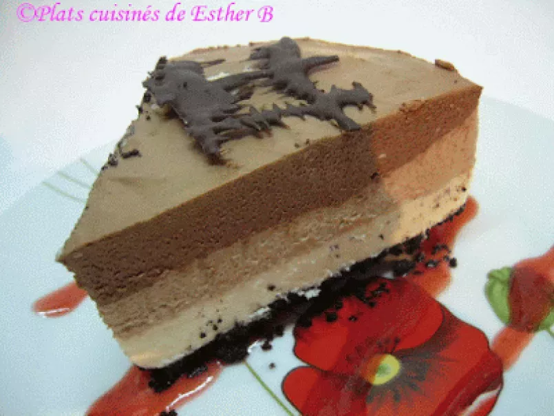 Gâteau fromage aux 3 chocolats (cheesecake)