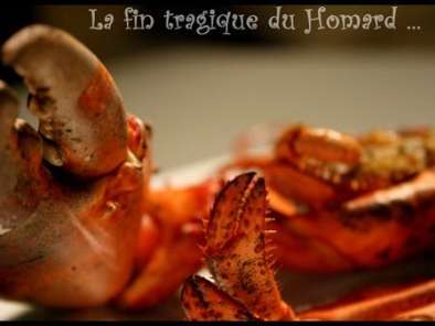 La fin tragique d'un Homard: rôti au four, beurre citronné et fenouil confit - photo 4