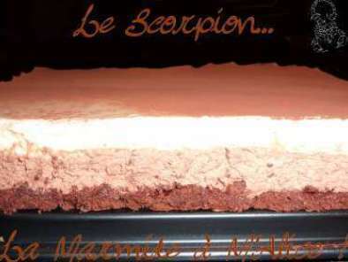 Le Scorpion (gâteau chocolat noir et chocolat blanc au tahiné)