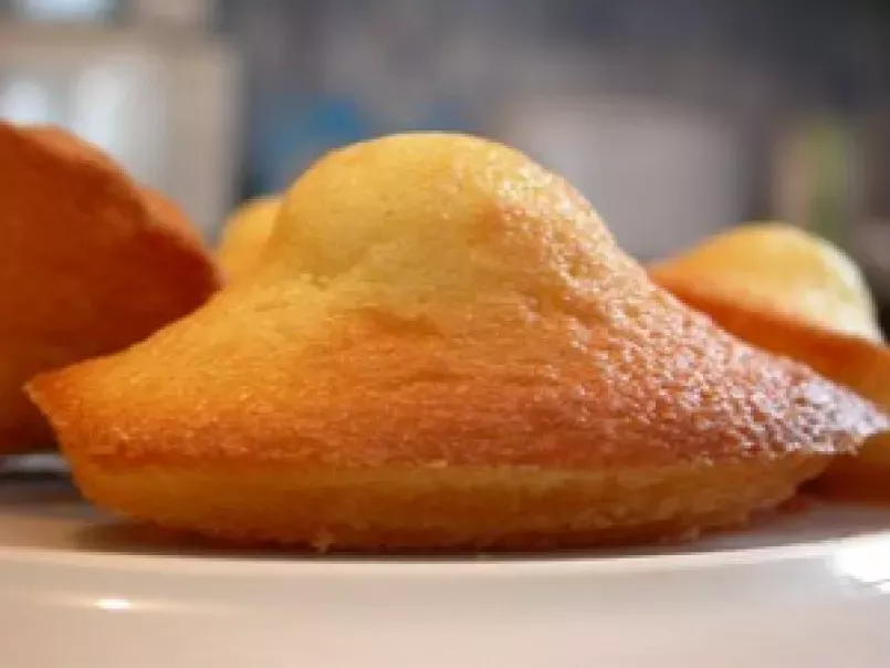 Madeleines Citron Cannelle Coco