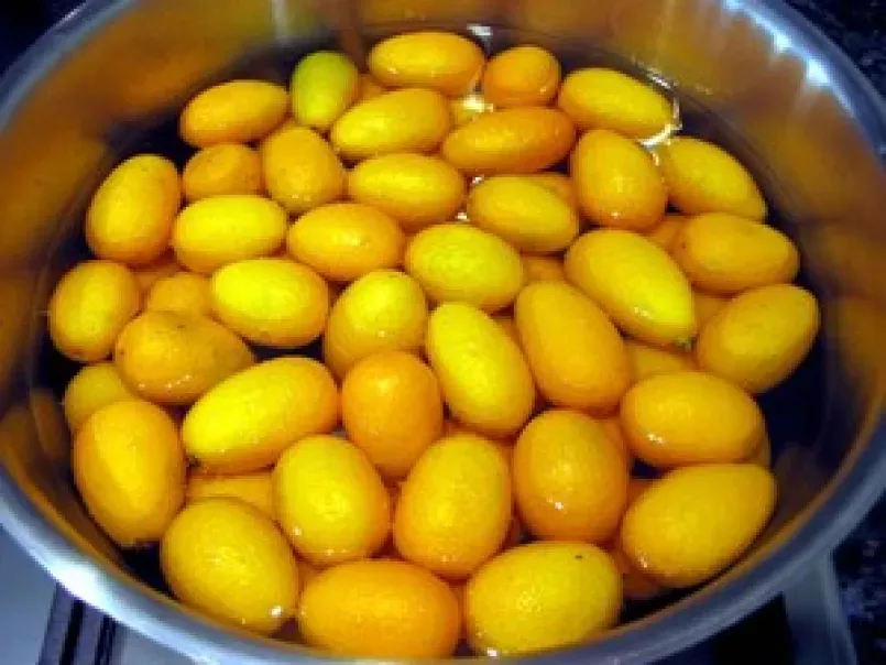 Magret grillé, navet à la gentiane et purée de kumquats - photo 2