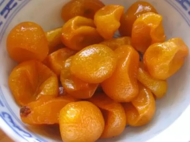 Magret grillé, navet à la gentiane et purée de kumquats - photo 3
