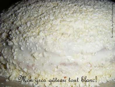 Mon gros gâteau tout blanc - photo 2