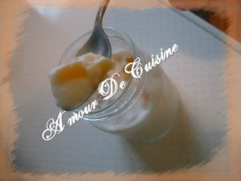 Mon yaourt light aux peches (yaourt aux fruits) special regime et diabete - photo 2