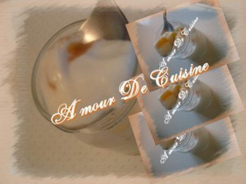 Mon yaourt light aux peches (yaourt aux fruits) special regime et diabete - photo 4