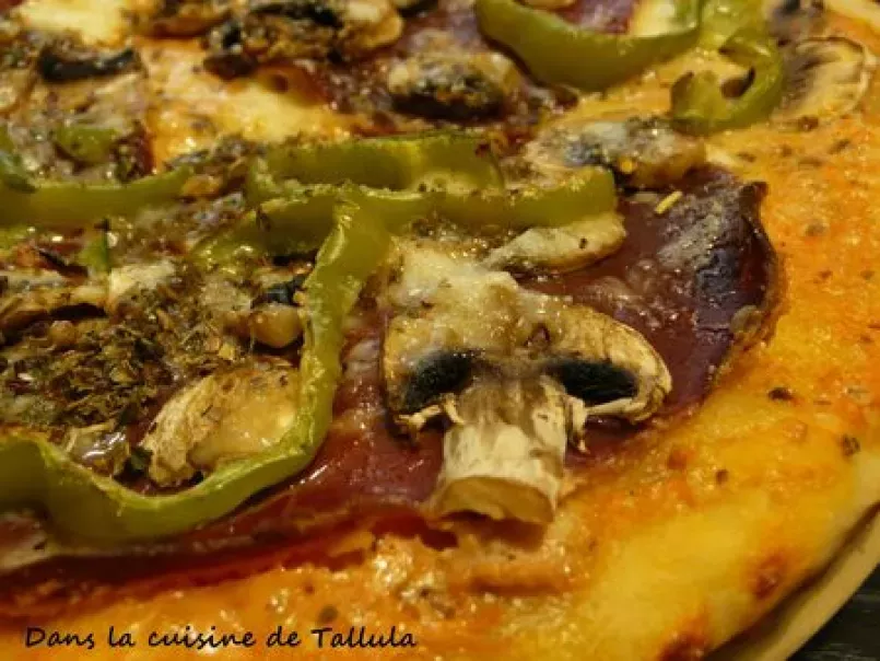 Pizza ricottomate à la viande des grisons et piment doux - photo 5