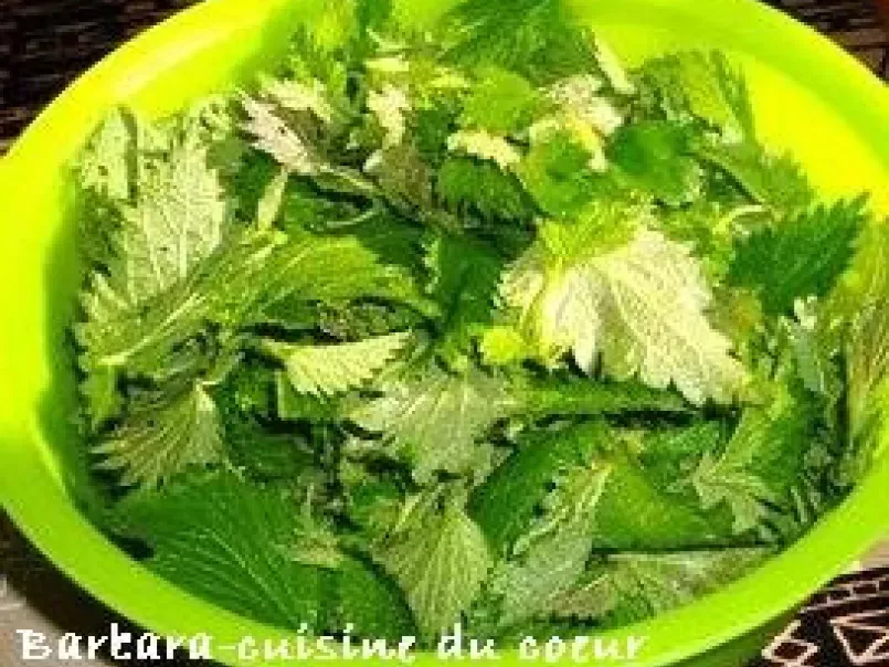 SALADE AUX ORTIES - photo 3