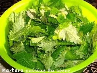 SALADE AUX ORTIES - photo 3