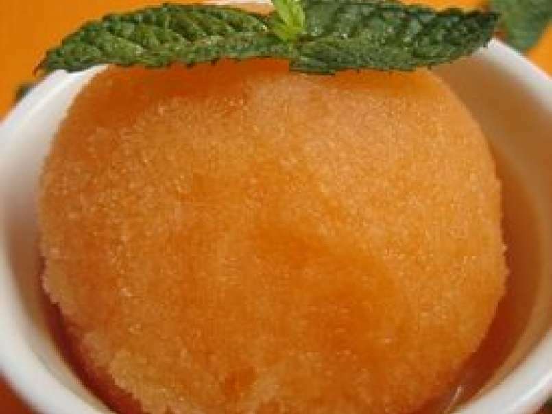 Sorbet melon-pastis - photo 5