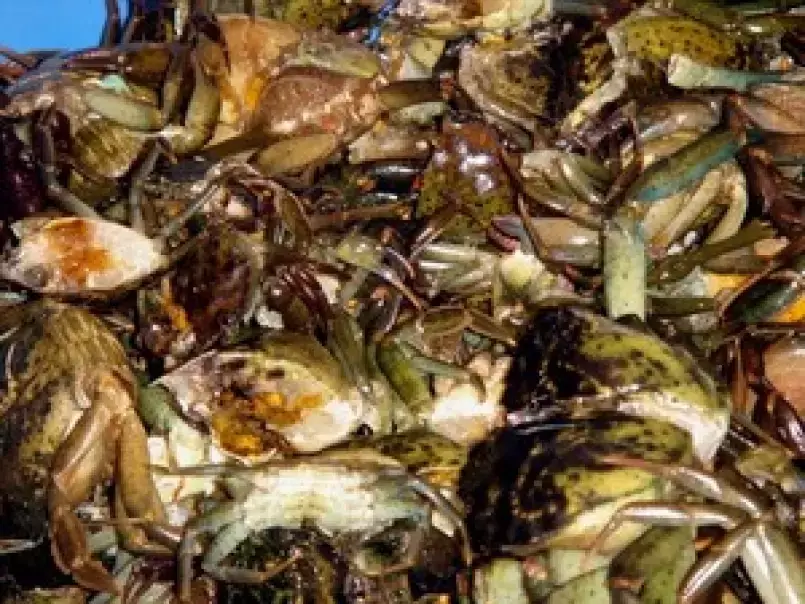 Soupe de crabes verts - photo 5