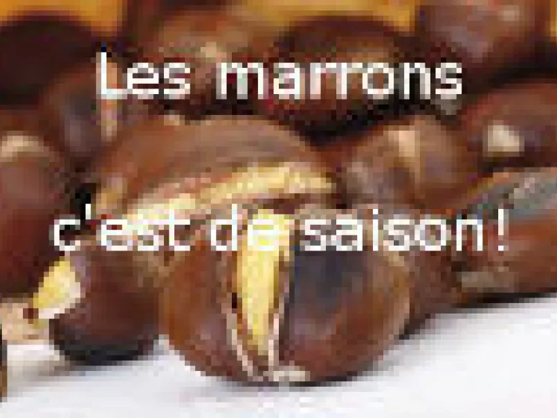Soupe de marron - Limousin - photo 3