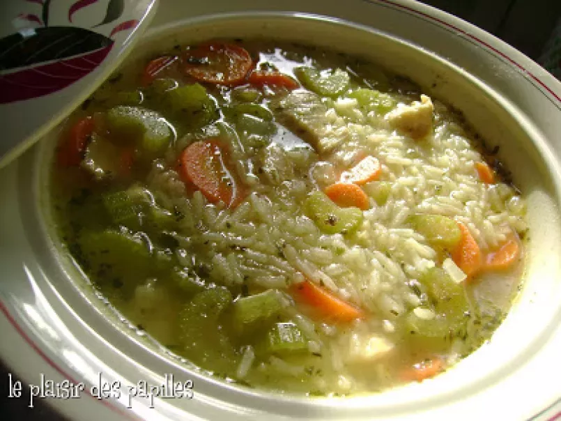 Soupe réconfortante au poulet et au riz. - photo 2