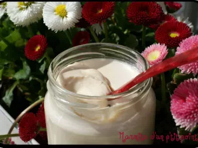 Yaourts vanille-pêche (ferments lactiques ALSA)