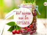 Cerise et ses qualités : adoptez-la !
