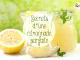 Le secret de la citronnade parfaite !