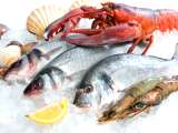 Un bon poisson ? Il suffit savoir le choisir !