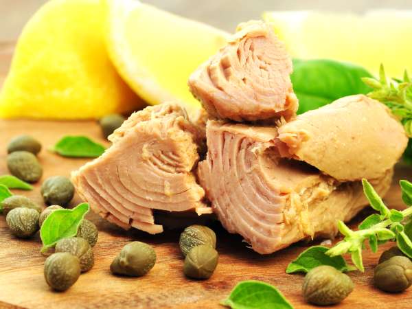 Recettes thon