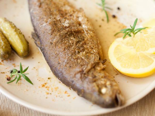 Recettes panga
