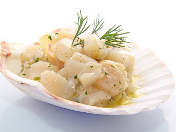 Recettes saint jacques