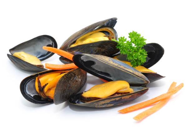 Recettes moules