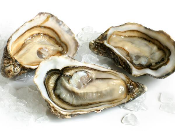 Recettes huitres