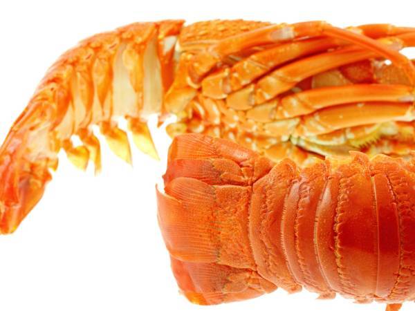 Recettes gambas