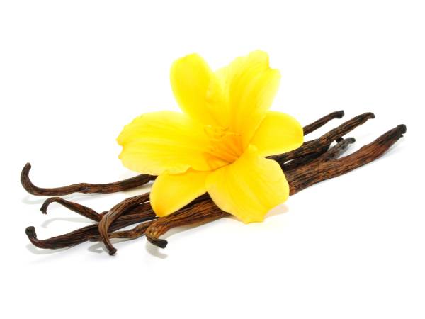 Recettes vanille
