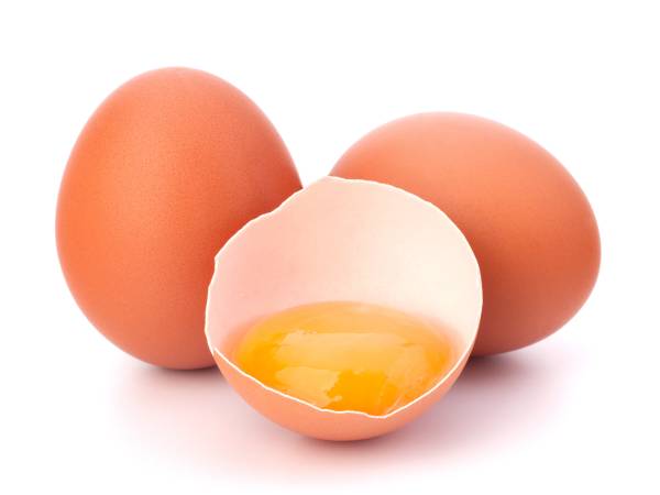 Recettes oeuf