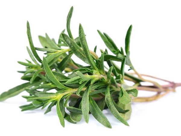 Recettes romarin