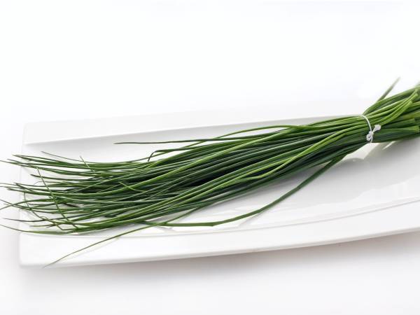 Recettes ciboulette