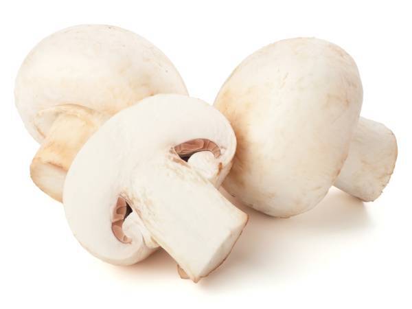 Recettes champignon