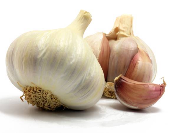 Recettes ail