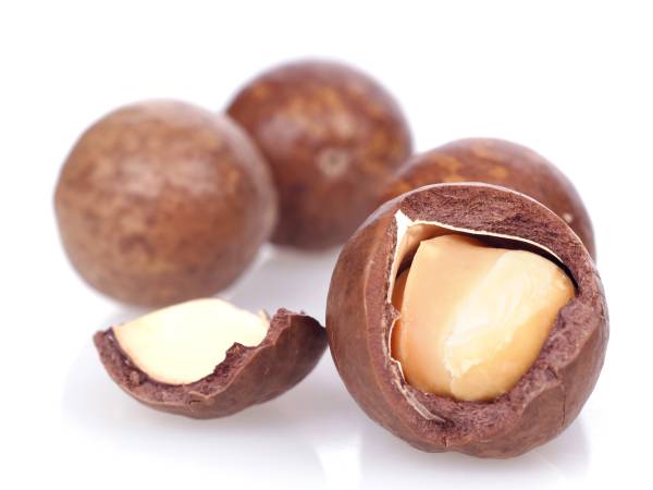 Recettes noix de macadamia