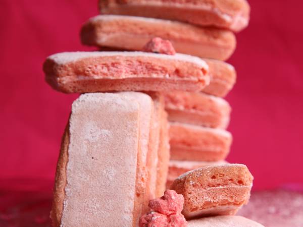 Recettes biscuit rose de reims